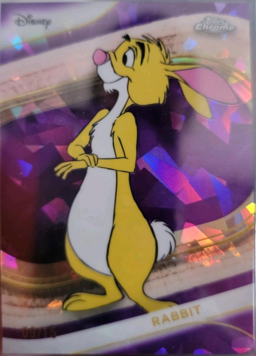 Winnie the Pooh [Purple Sapphire Refractor] #141