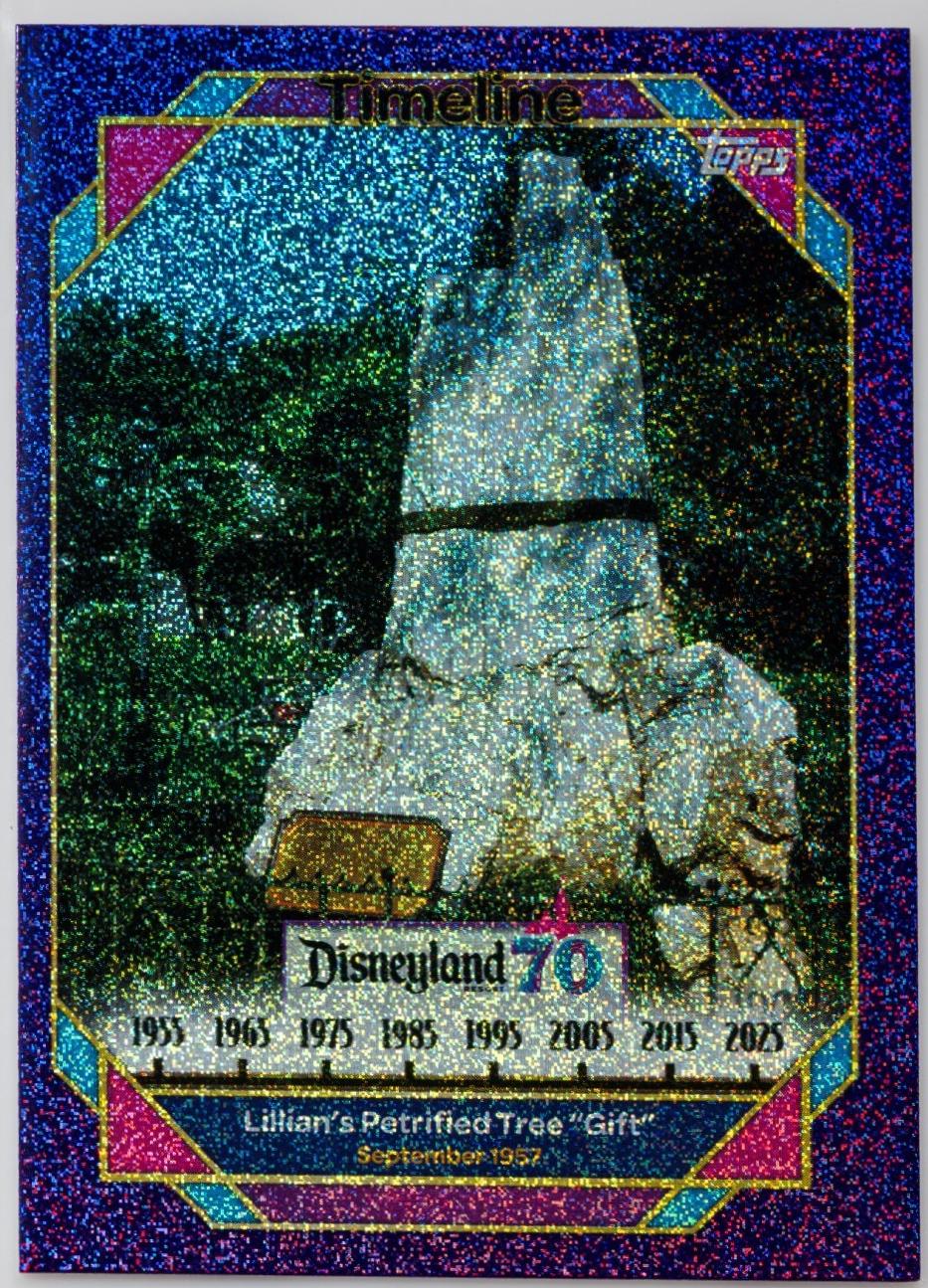 Lillian's Petrified Tree Gift #86