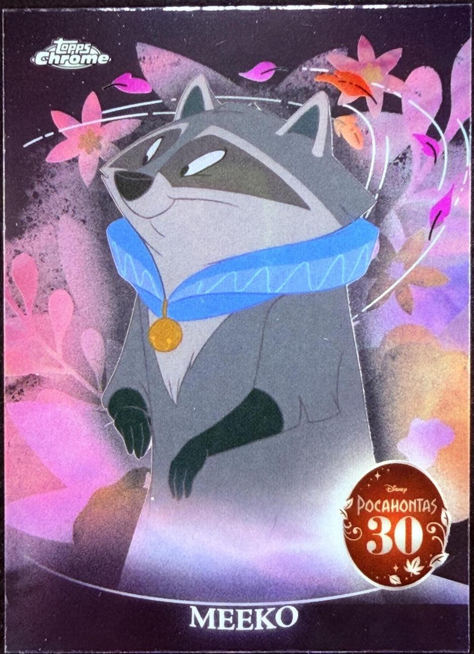 Meeko #PH-2