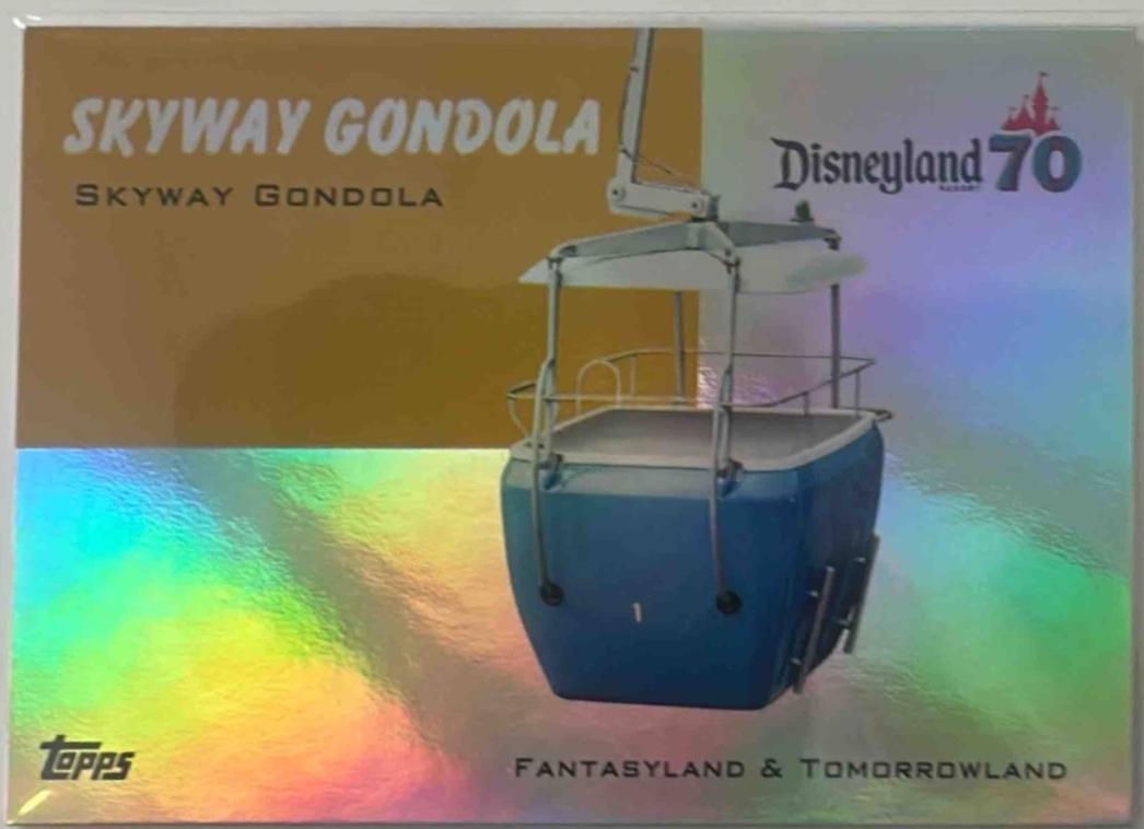 Skyway Gondola #T54-21