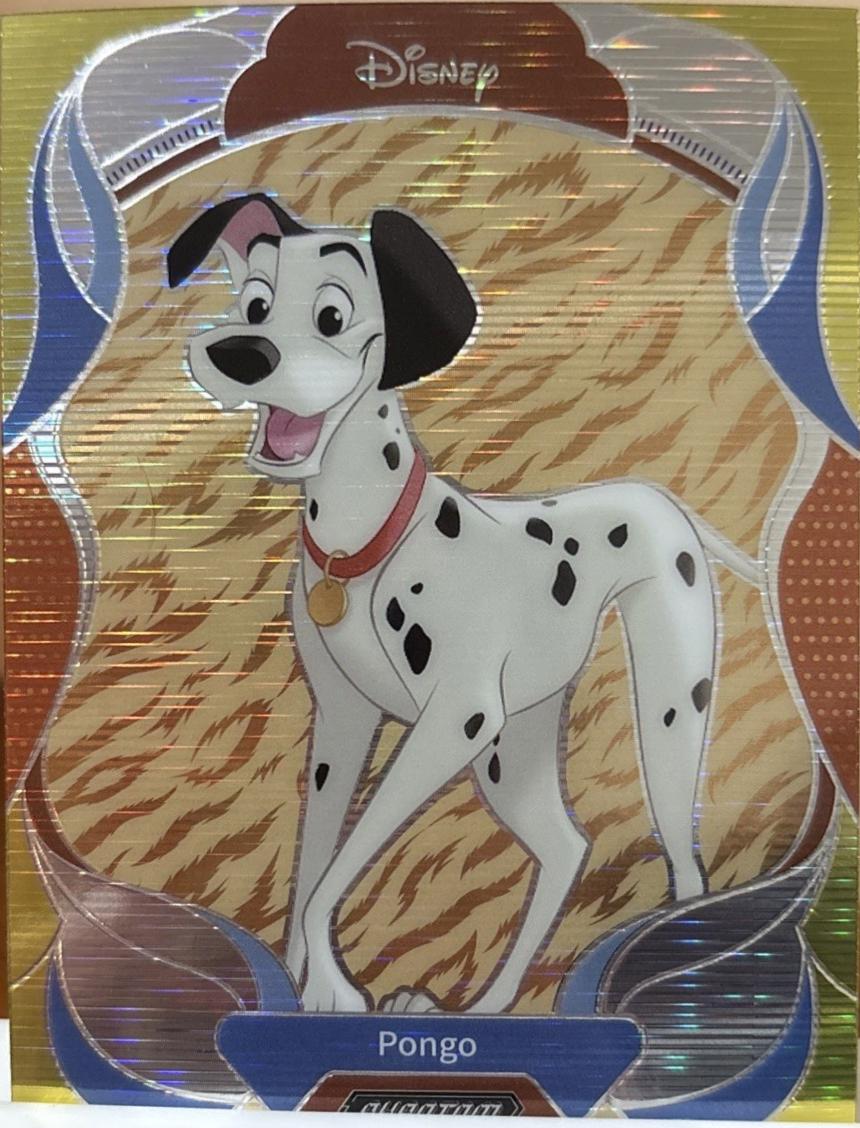 Pongo #PD-CD-09