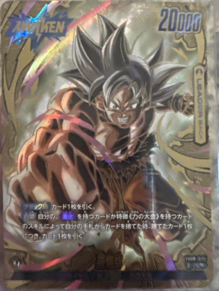 Son Goku FB09-025