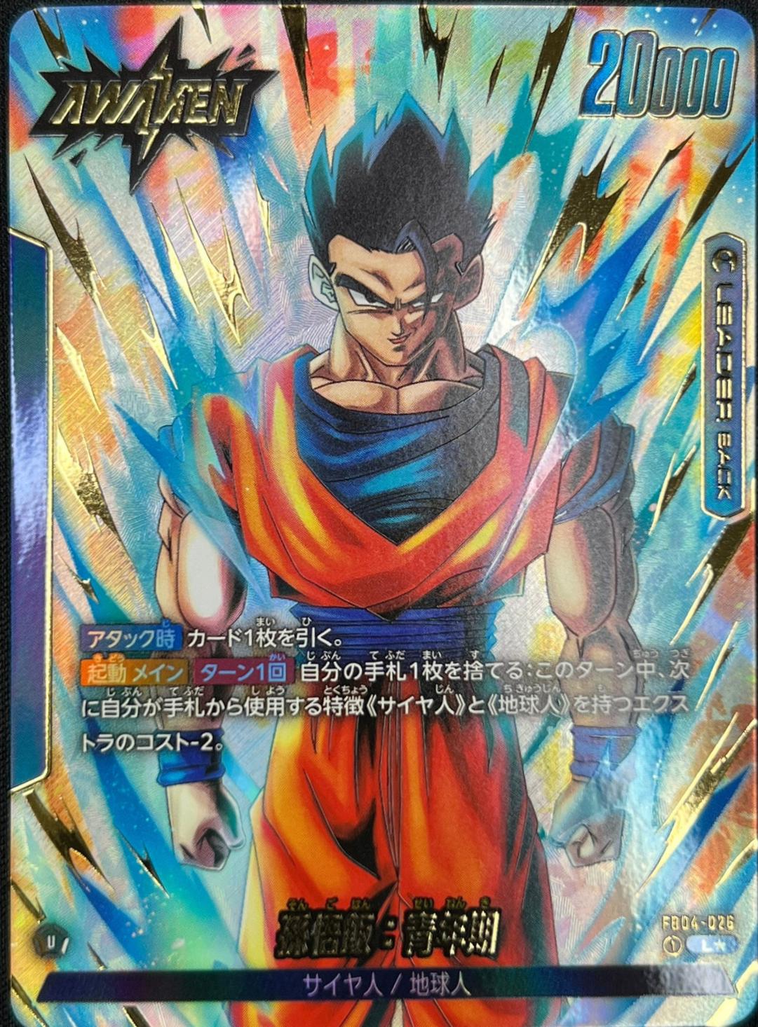 Son Gohan: Adolescence FB04-026