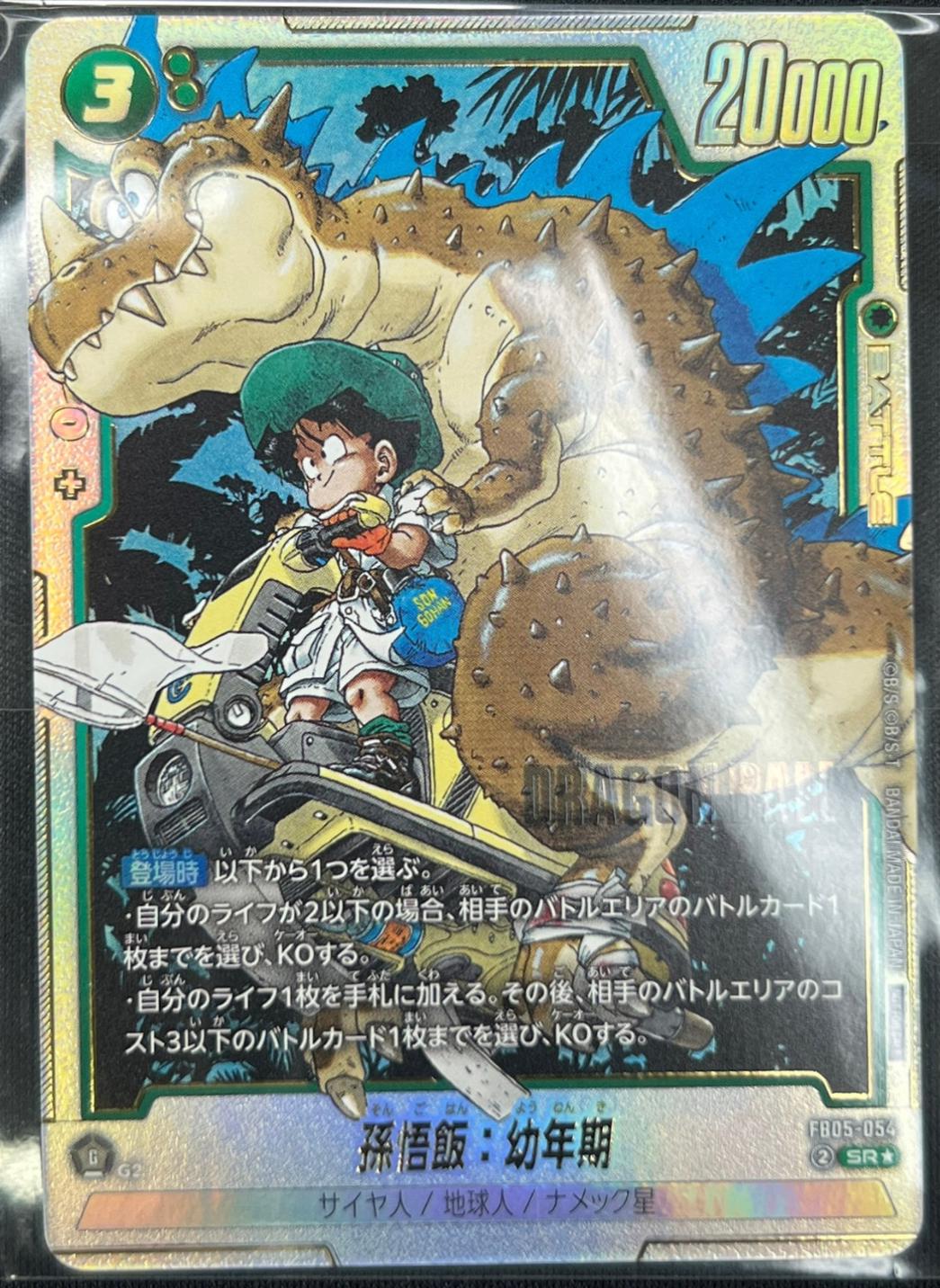 Son Gohan: Youth FB05-054