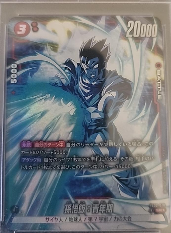 Son Gohan: Adolescence [Alternate Art] FB02-018