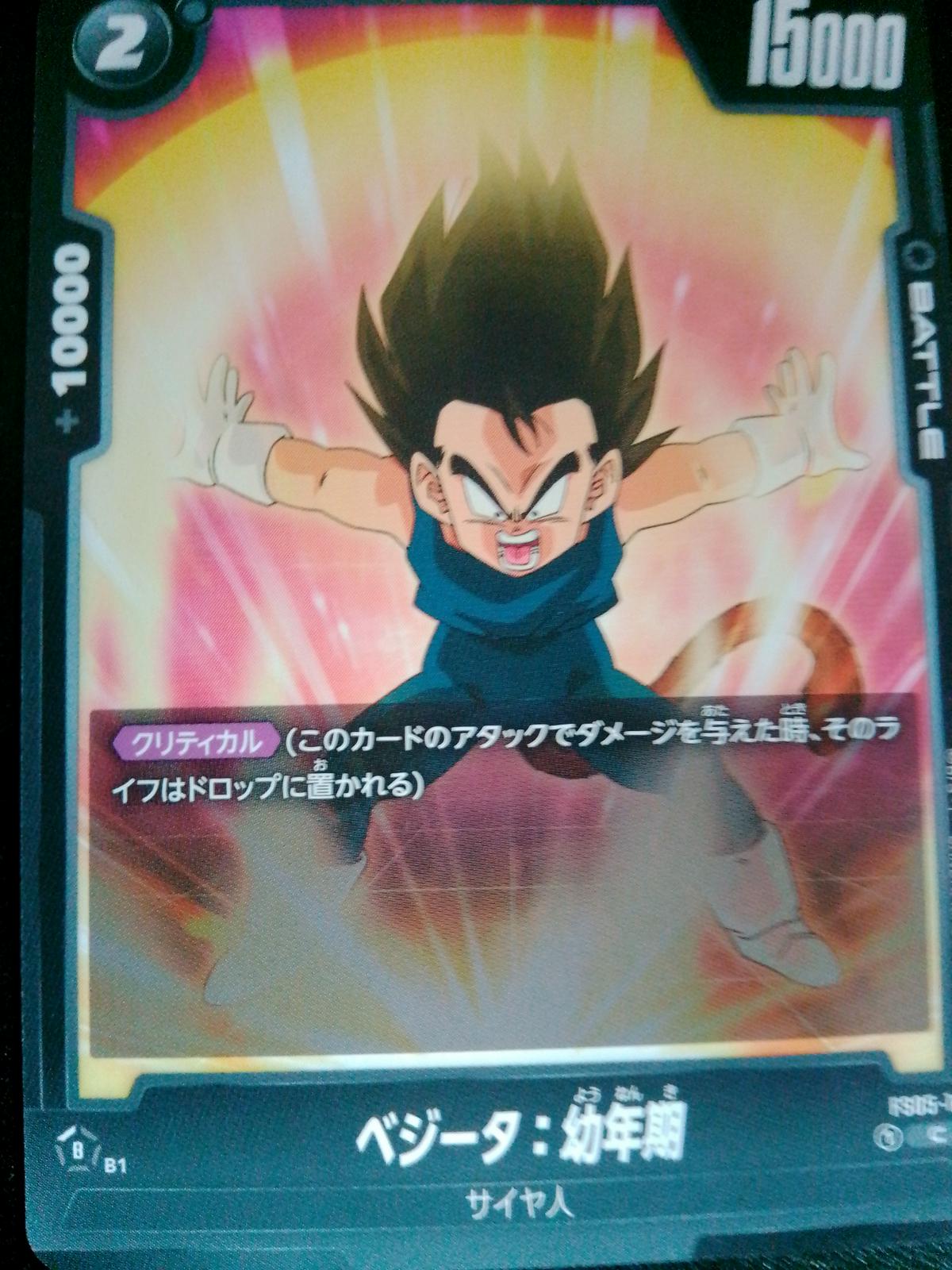 Vegeta: Youth FS05-14