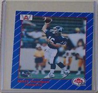 Matt Dunigan #87