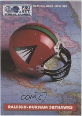 Raleigh Durham Skyhawks #17