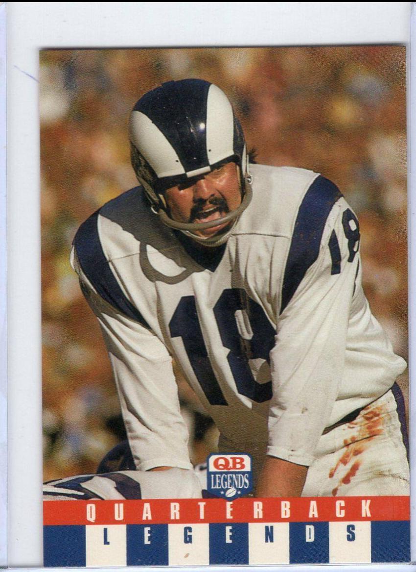 Roman Gabriel #14