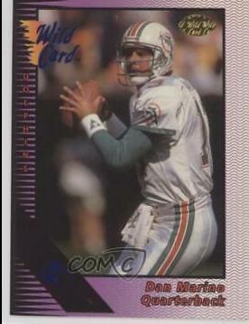 Dan Marino [5 Stripe] #19