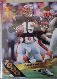 David Klingler [1000 Stripe] #17