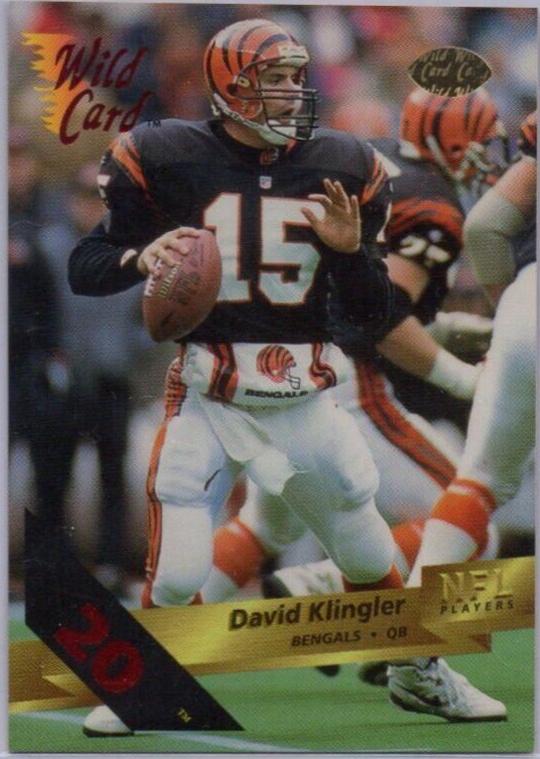 David Klingler [20 Stripe] #17