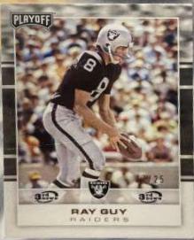 Ray Guy [3rd Down] #163
