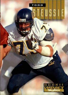 Todd Steussie #291