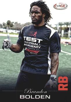 Brandon Bolden #4