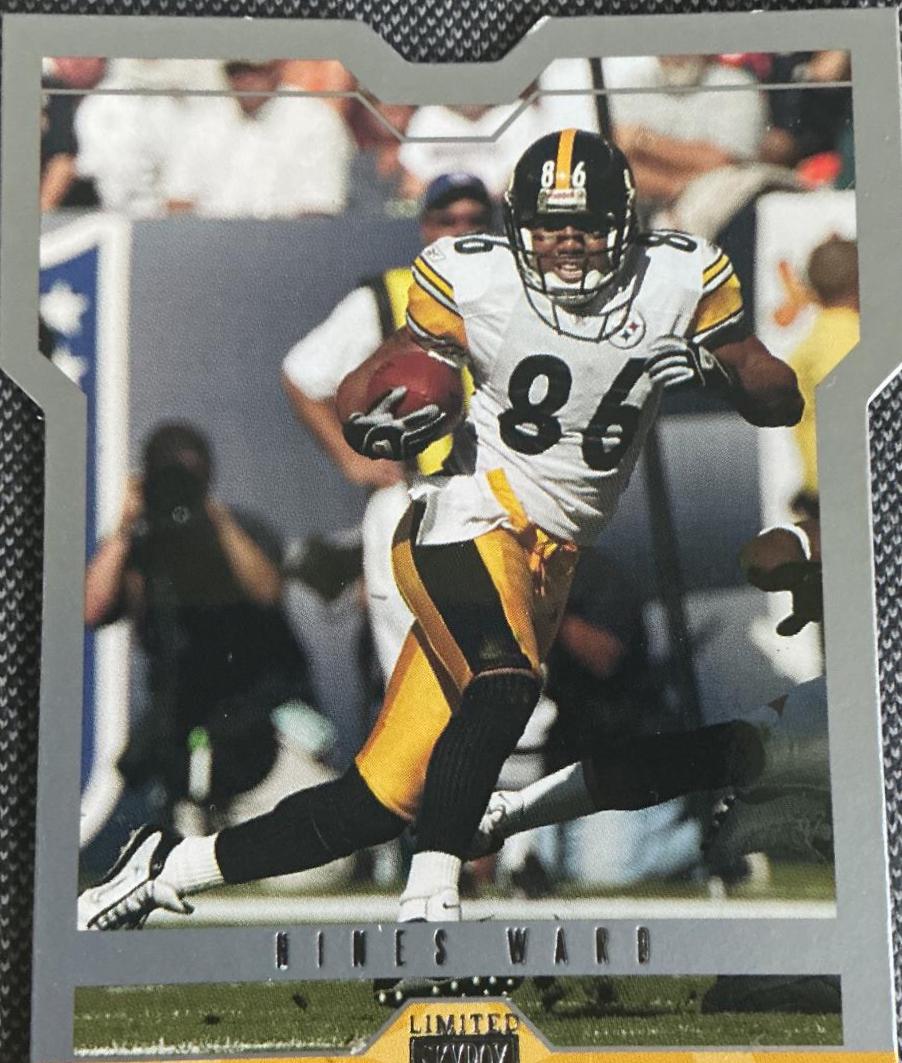 Hines Ward #8