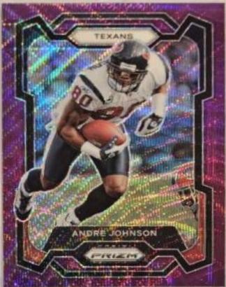 Andre Johnson [Purple Wave] #121