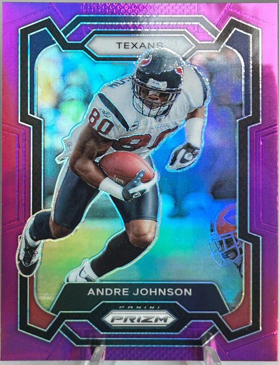 Andre Johnson [Purple] #121
