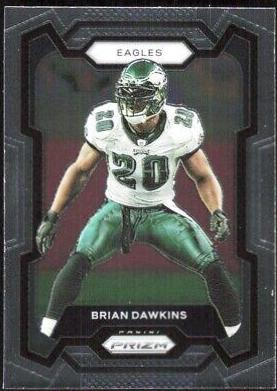 Brian Dawkins #241