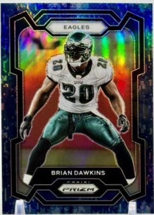 Brian Dawkins [Navy Camo] #241