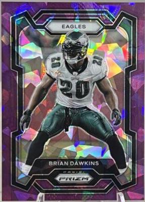 Brian Dawkins [Purple Ice] #241