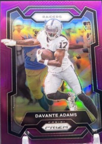 Davante Adams [Purple] #174