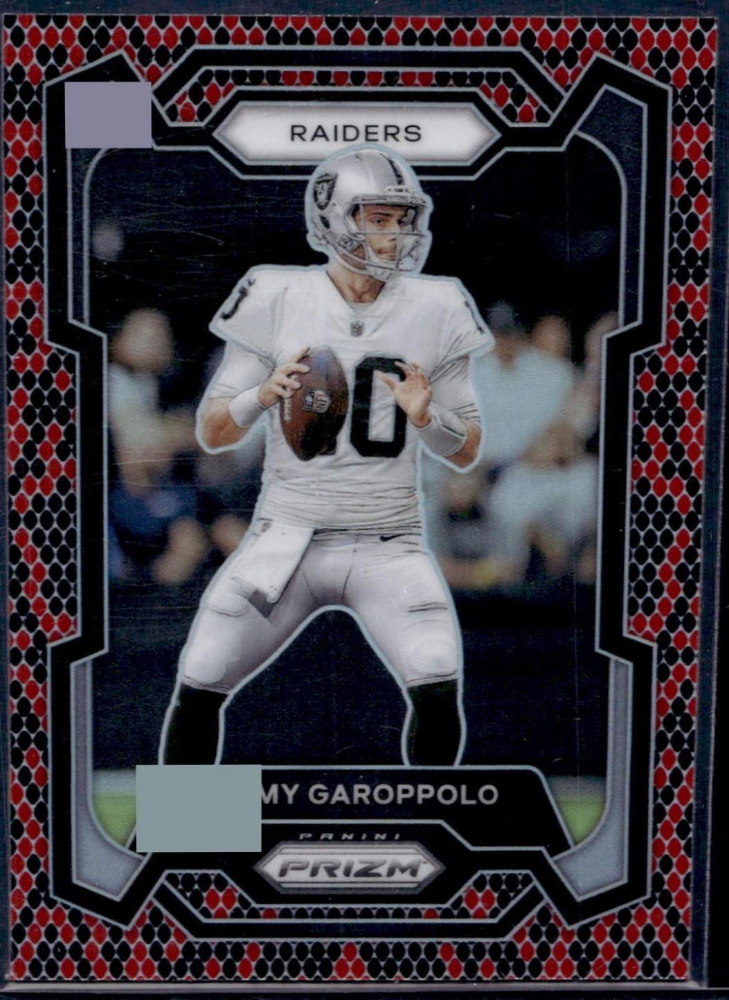 Jimmy Garoppolo [Snakeskin] #176