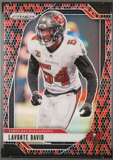 Lavonte David [Snakeskin] #272