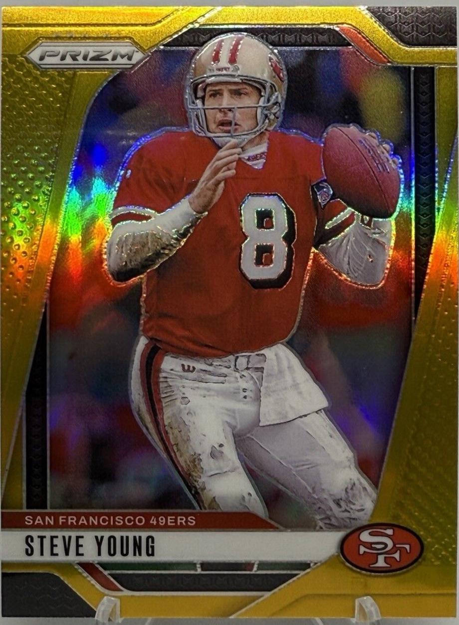 Steve Young [Gold] #256