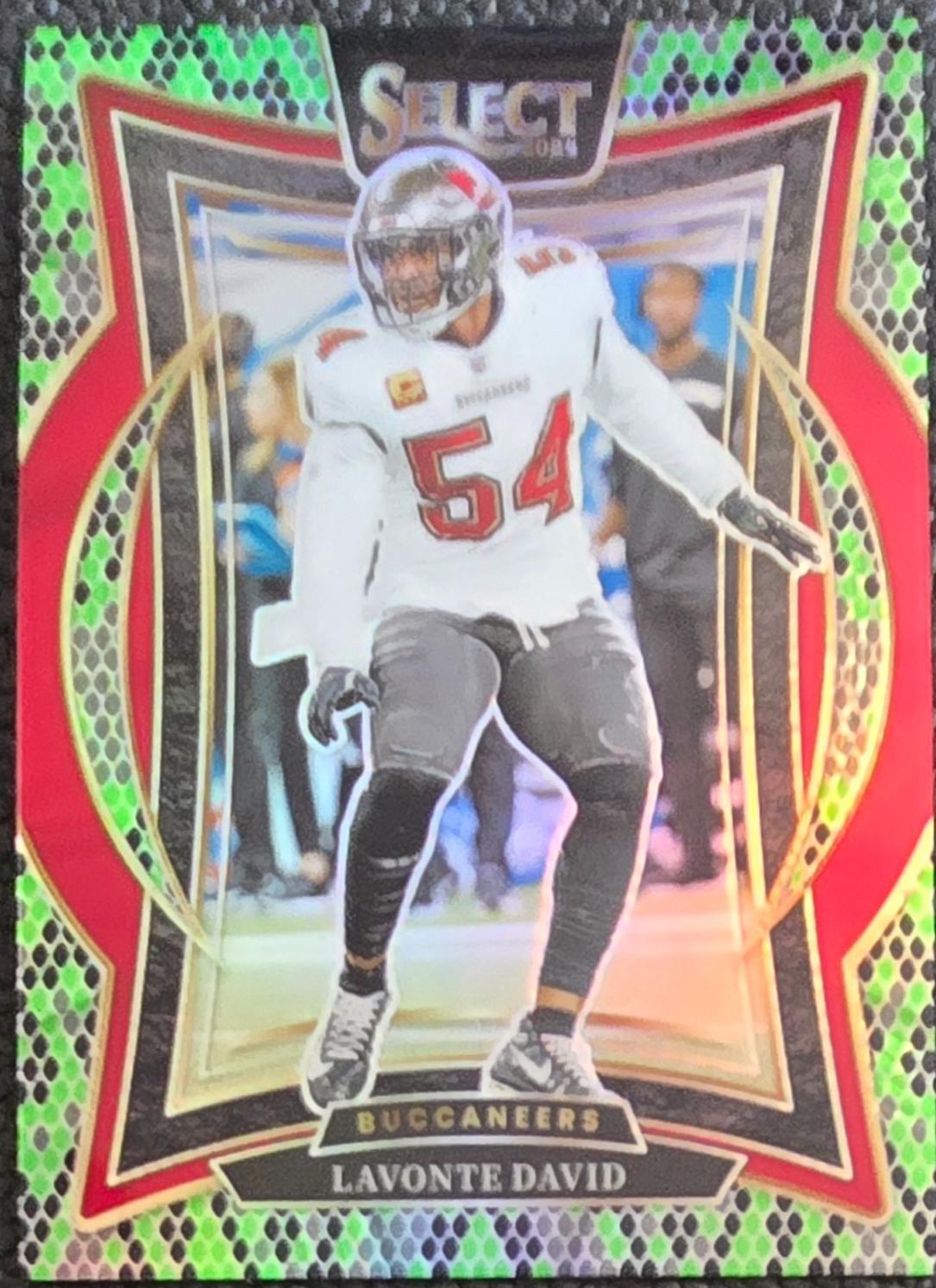 Lavonte David [Green Black Snakeskin Prizm] #79