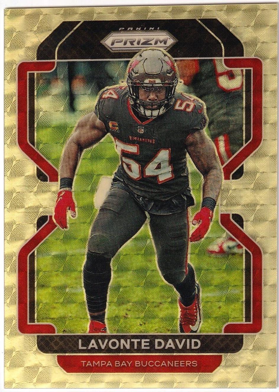 Lavonte David [Gold Vinyl Prizm] #297