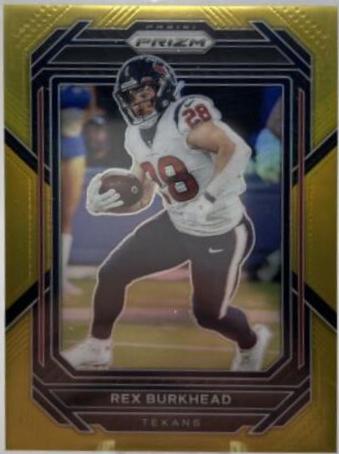 Rex Burkhead [Gold] #115