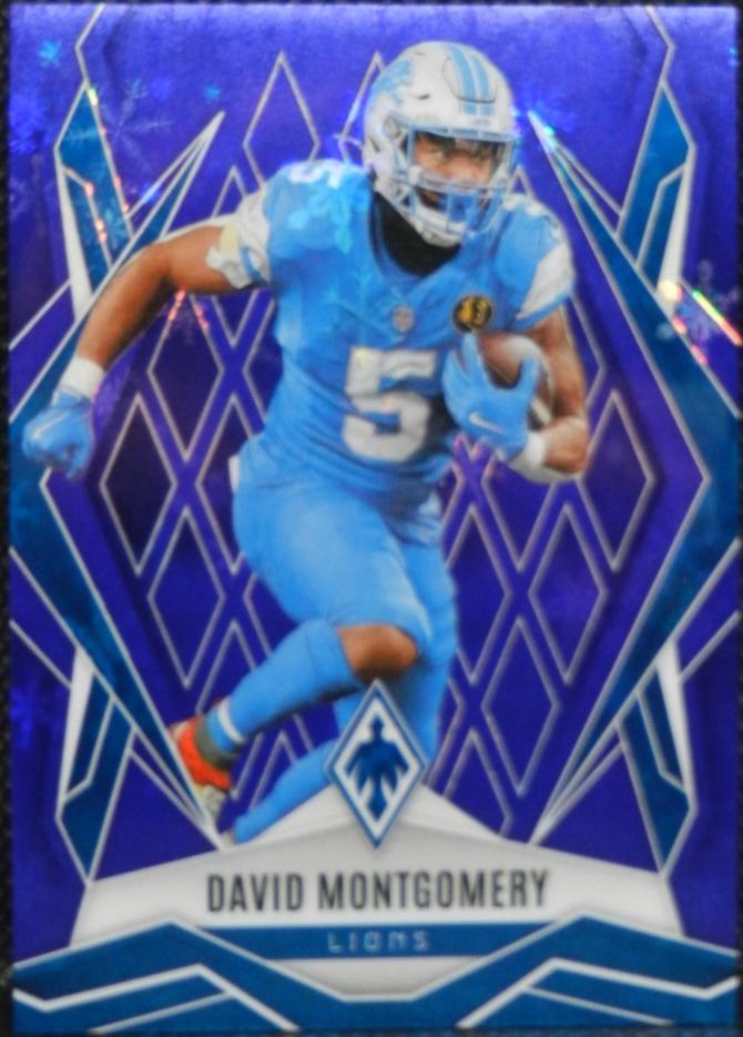 David Montgomery [Blue Winter] #108