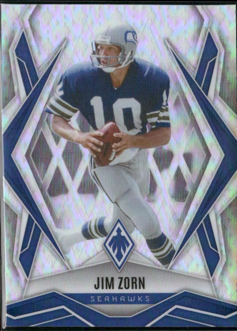 Jim Zorn [Phoenix] #139