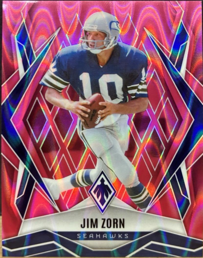 Jim Zorn [Pink Seismic] #139