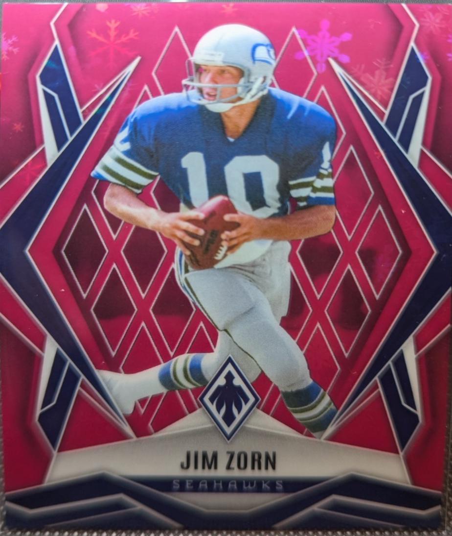 Jim Zorn [Pink Winter] #139