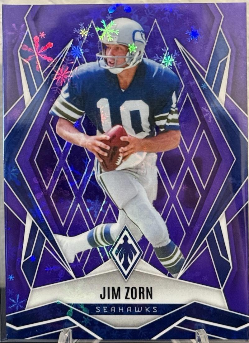 Jim Zorn [Purple Winter] #139