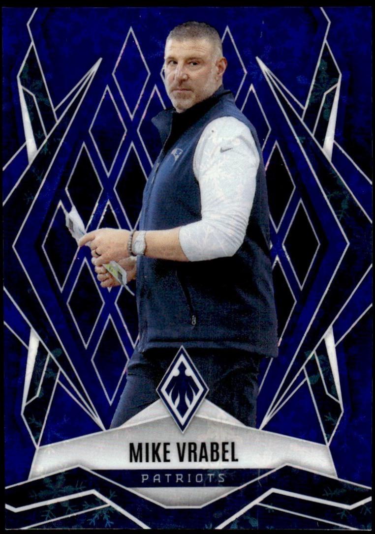 Mike Vrabel [Blue Winter] #37