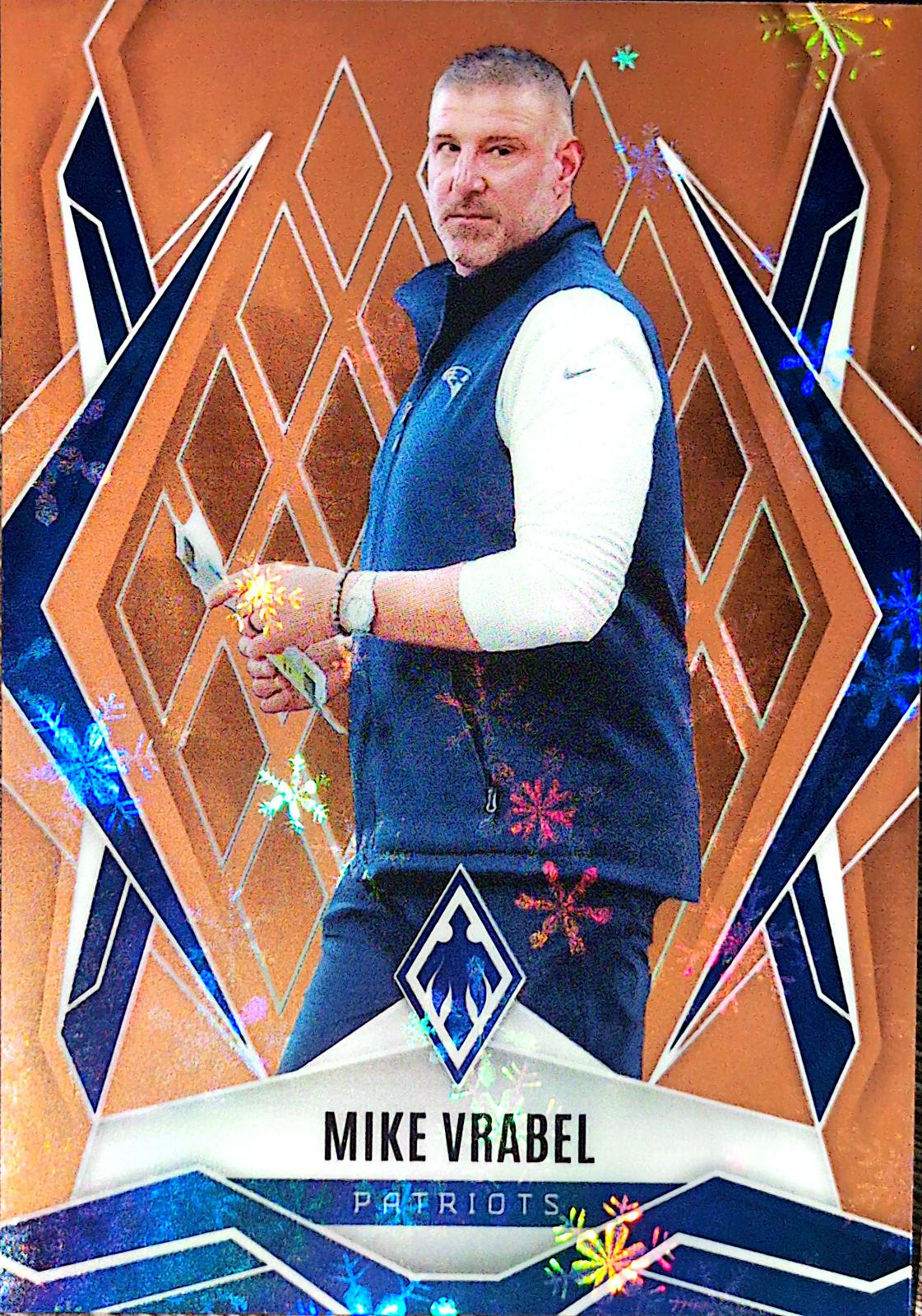 Mike Vrabel [Bronze Winter] #37