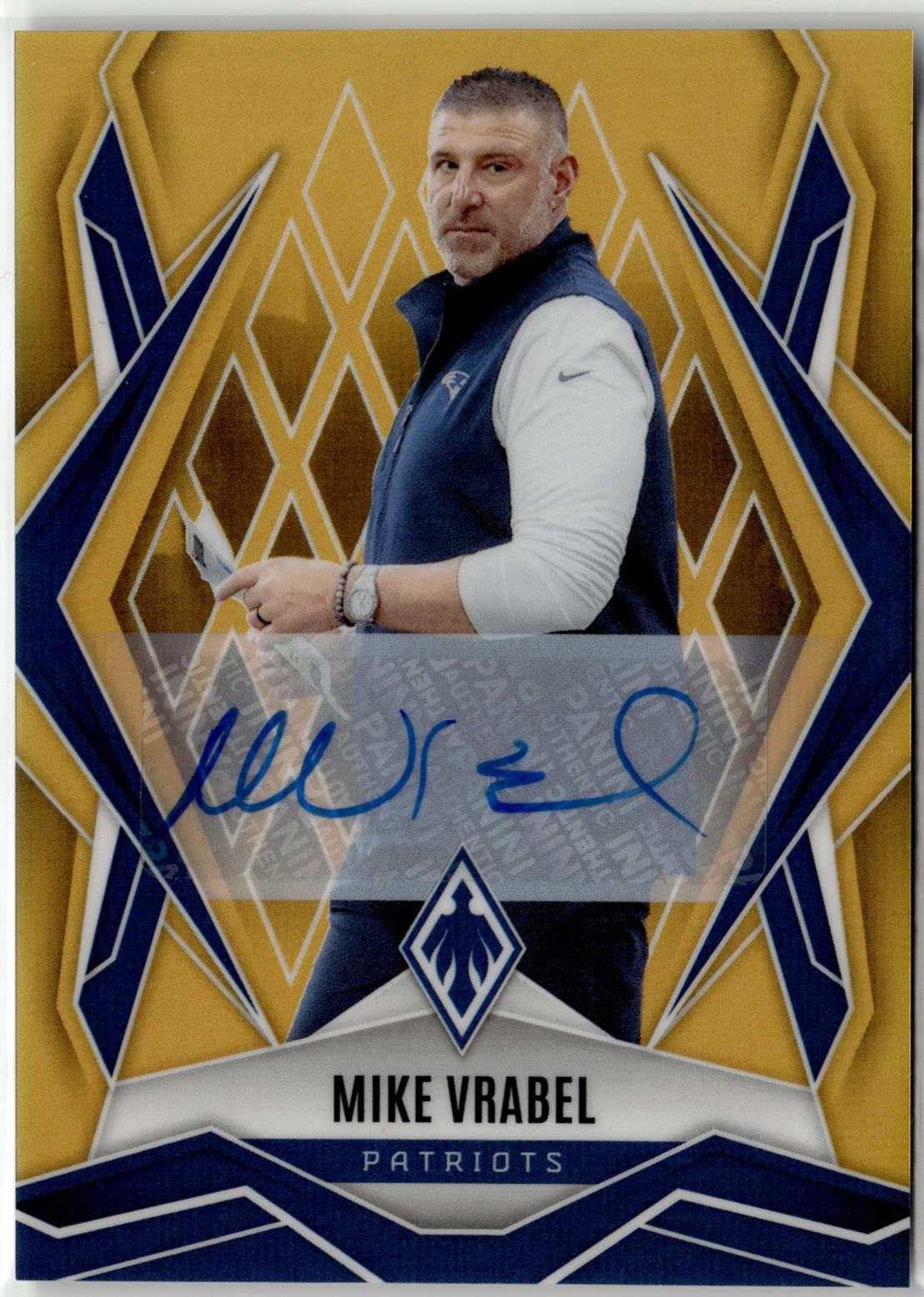 Mike Vrabel [Gold Autograph] #37
