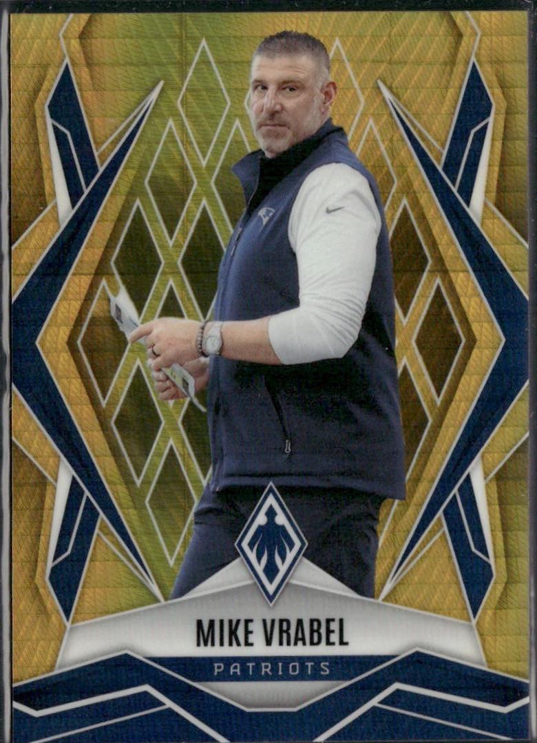 Mike Vrabel [Gold Hyper] #37