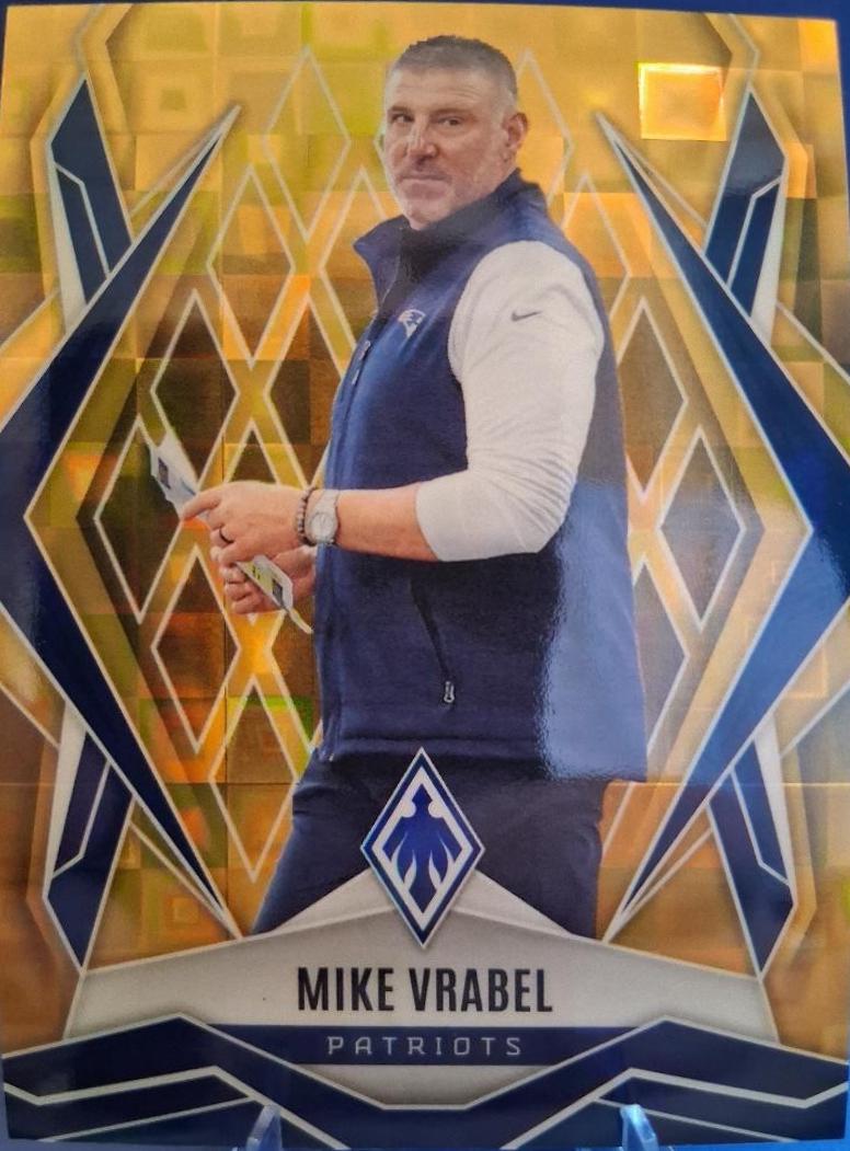 Mike Vrabel [Gold Pandora] #37