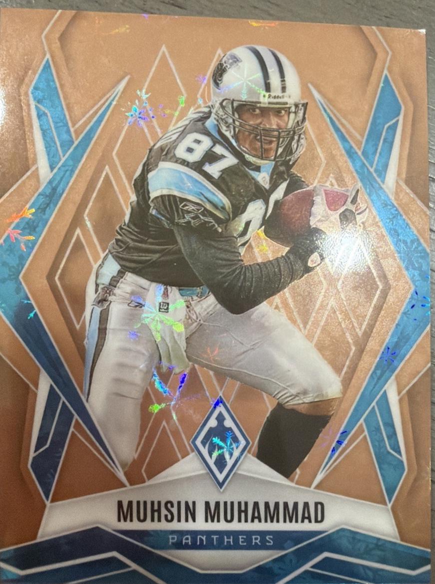Muhsin Muhammad [Bronze Winter] #48