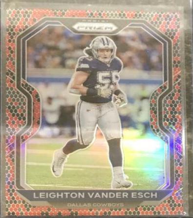 Leighton Vander Esch [Snakeskin] #154