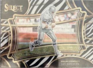Jay Novacek [Zebra Prizm] #327