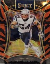 Tedy Bruschi [Tiger Prizm] #465