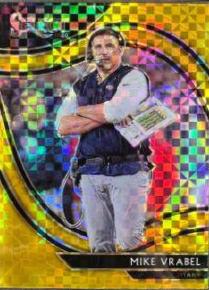 Mike Vrabel [Gold Prizm] #335