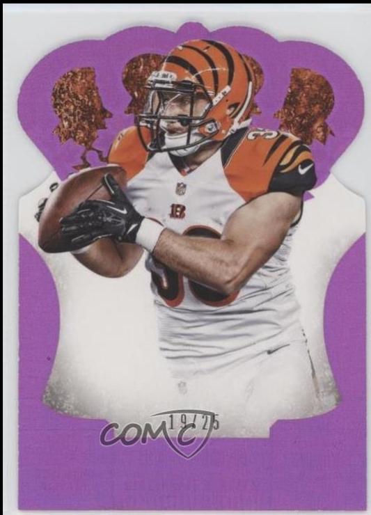 Rex Burkhead [Gold Holo Die Cut] #181
