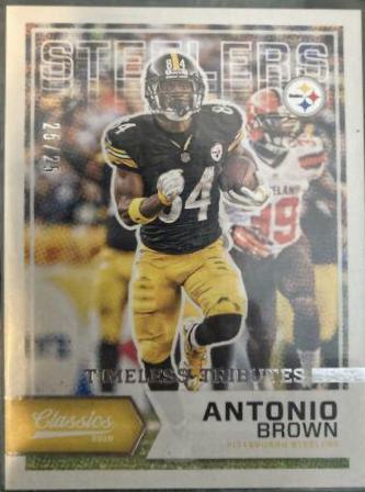 Antonio Brown #100