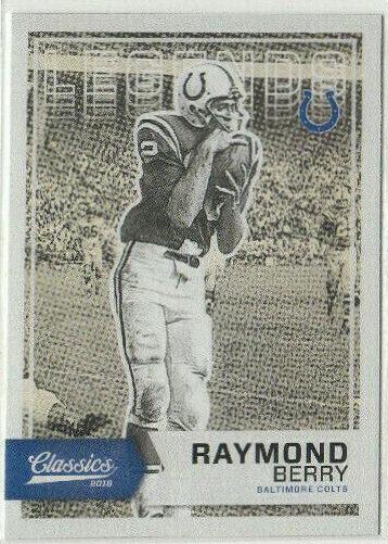 Raymond Berry #161